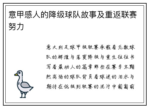 意甲感人的降级球队故事及重返联赛努力