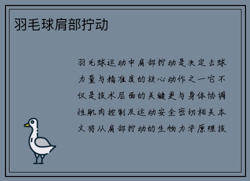 羽毛球肩部拧动